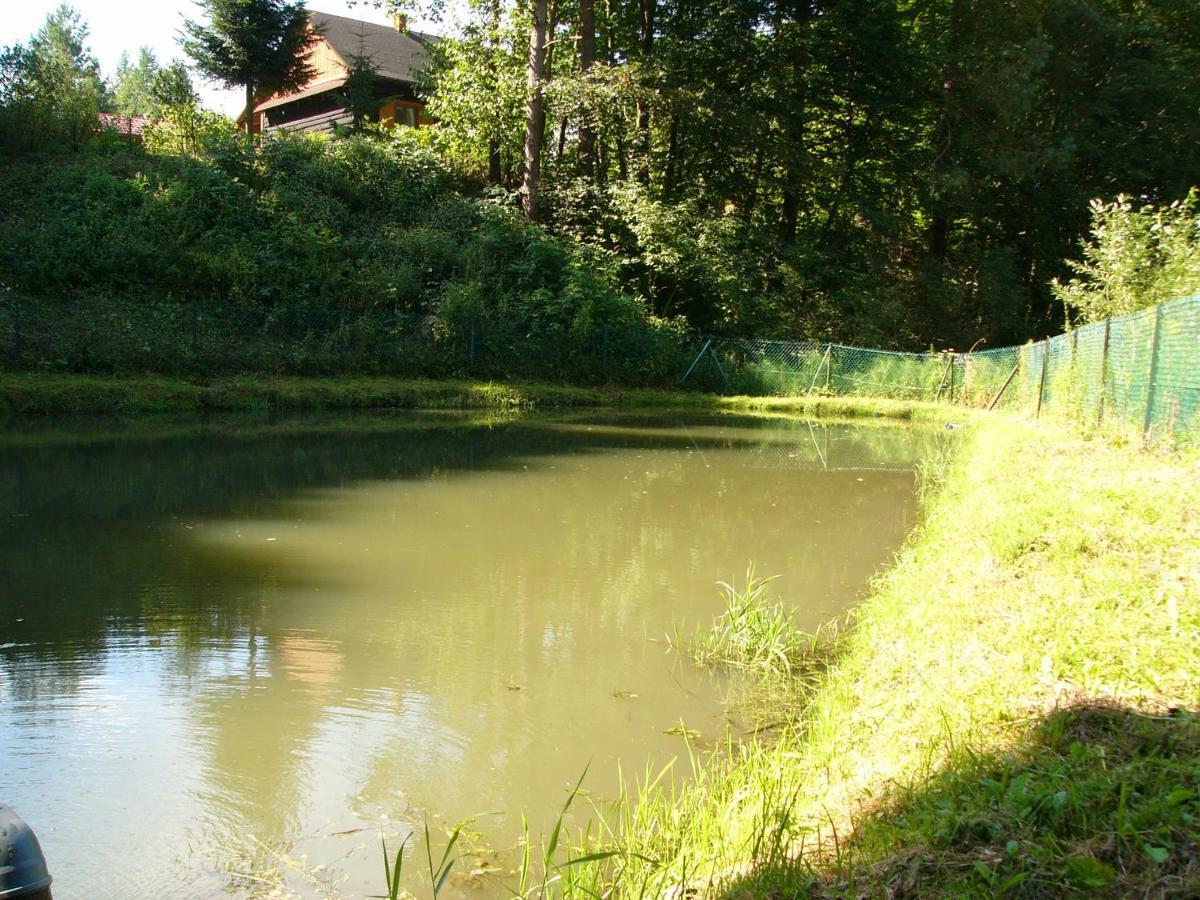 Agroturystyka - Agrodomek Nozdrzec Exterior photo